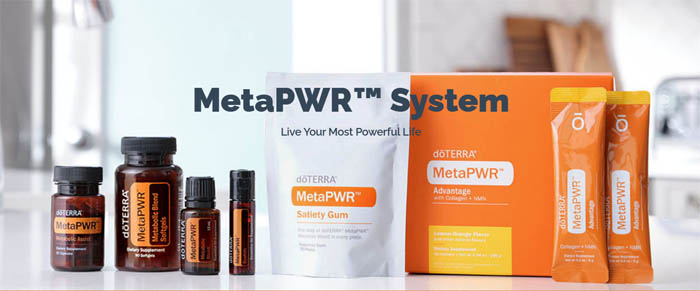 MetaPWR Supplement System